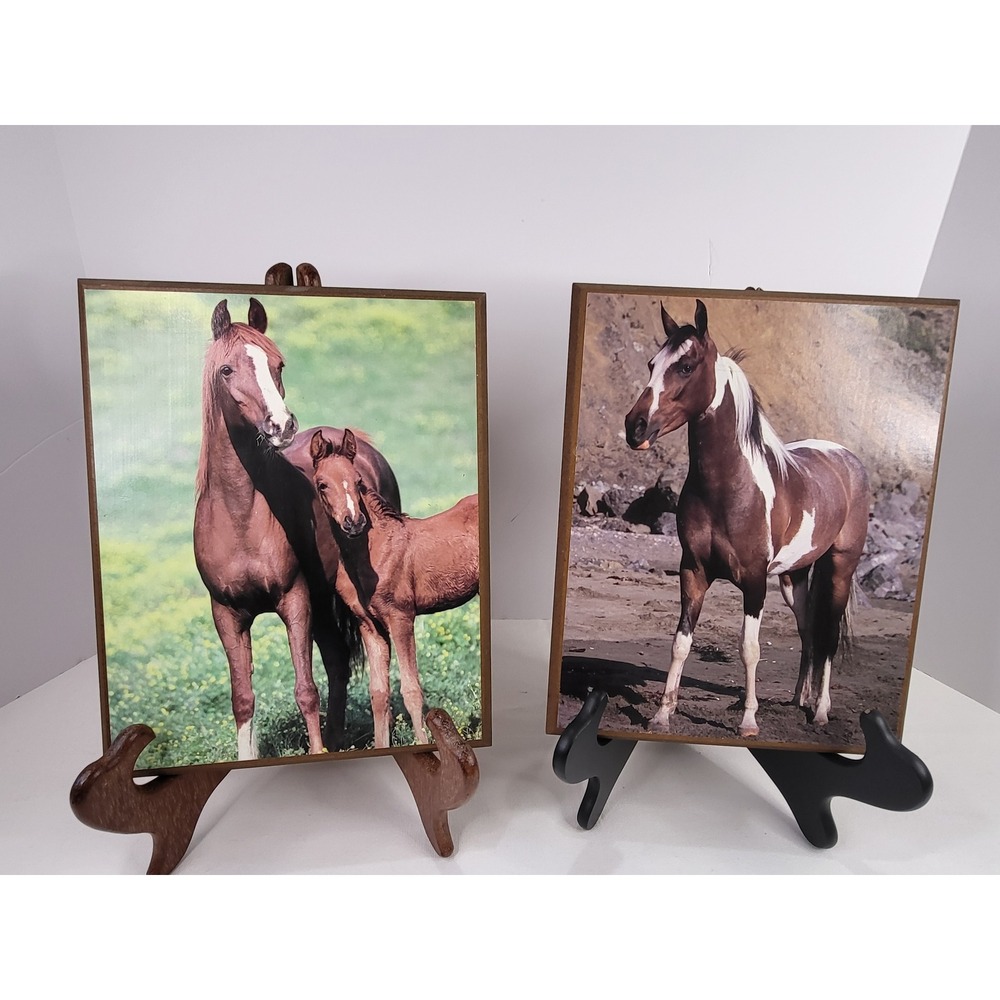 Vintage Horse Portrait Wood Plaques Set of 2 Equestrian Wall Decor 8x10